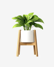 Solid Wood Plant Stand for Indoor Pot Display