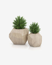 Wooden Tabletop Planter Box for Indoor Display