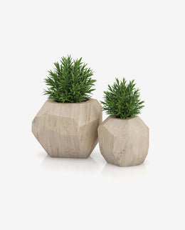 Wooden Tabletop Planter Box for Indoor Display