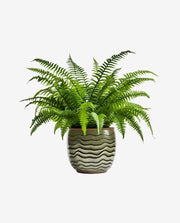 Solid Wood Plant Stand for Indoor Pot Display