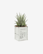 Wooden Tabletop Planter Box for Indoor Display