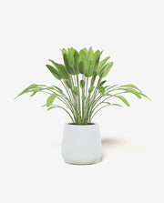 Small Porcelain Planter Pot for Desk or Shelf