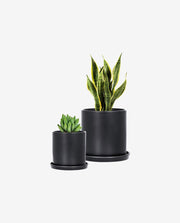 Mini Ceramic Flower Pot for Desk and Home Decor
